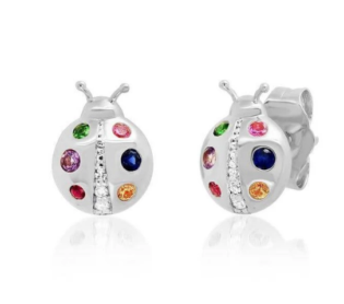 2-40 Pendientes plata de ley 925 Rodiada