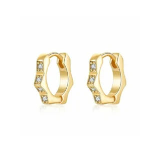 1-23 Pendientes Plata de Ley 925 Rodiada